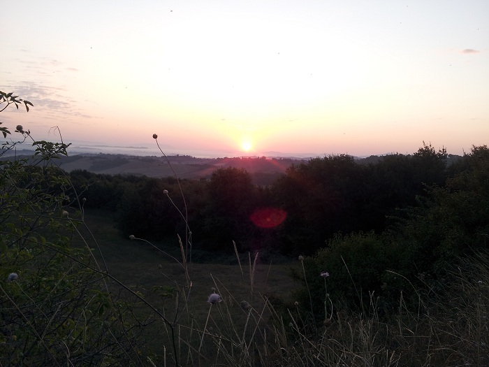 20150827_063851
